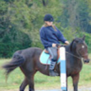 Meet your Posher, Julia